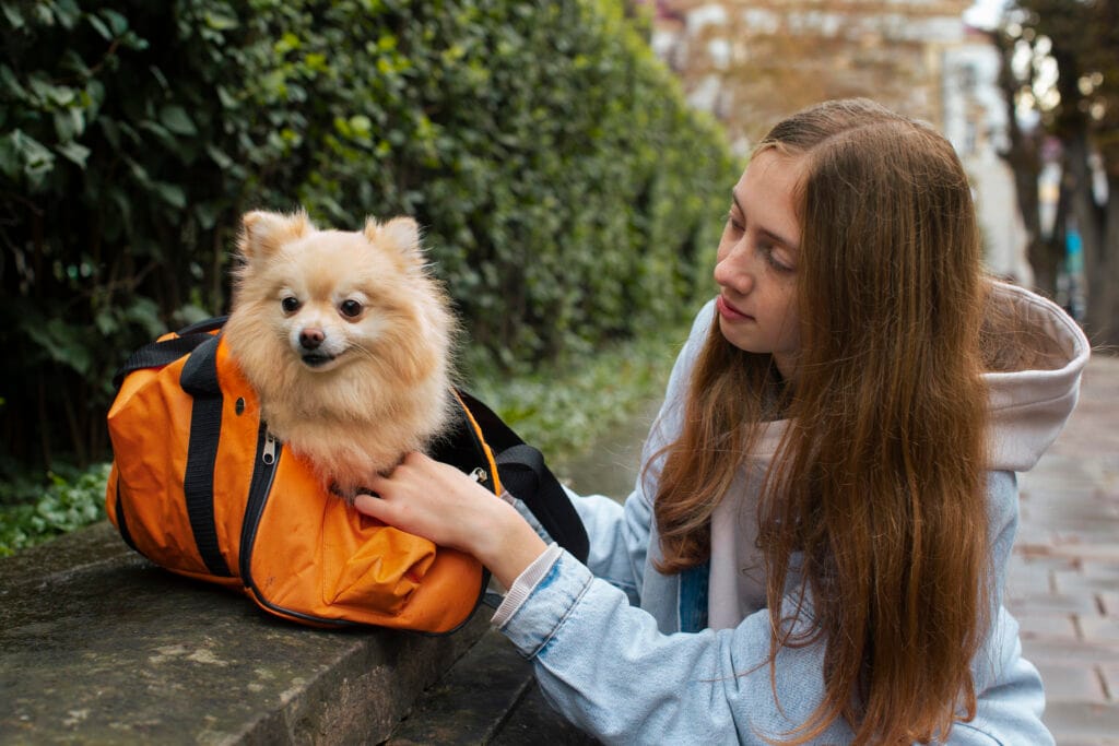 PET Movement Services — How to Travel with Your Pet Internationally