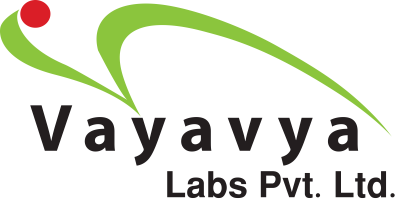 Vayavya Labs